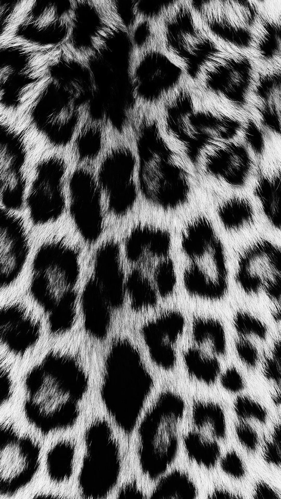 cute wallpapers cheetah print 0059