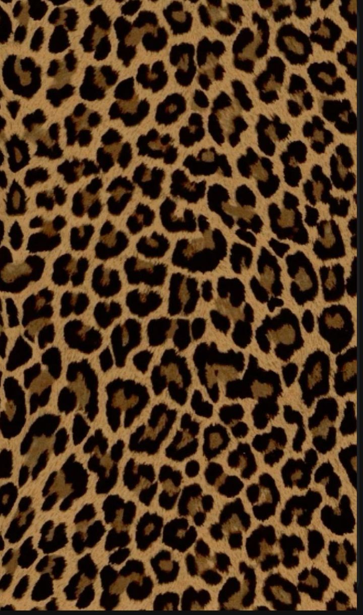 cute wallpapers cheetah print 0062