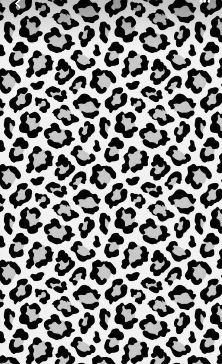 cute wallpapers cheetah print 0066