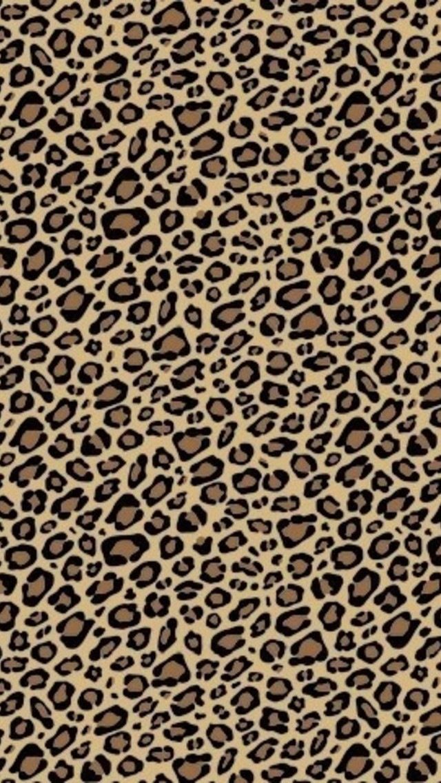 cute wallpapers cheetah print 0067