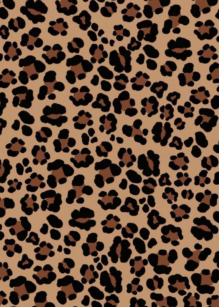 cute wallpapers cheetah print 0073