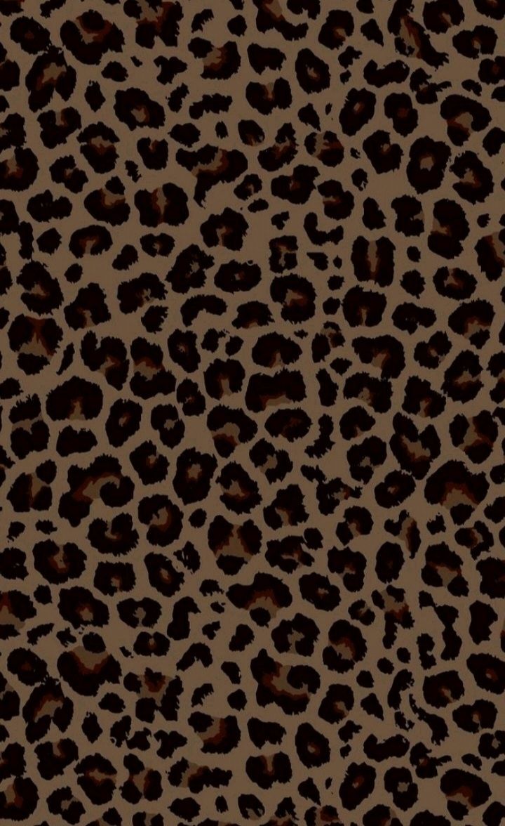 cute wallpapers cheetah print 0085