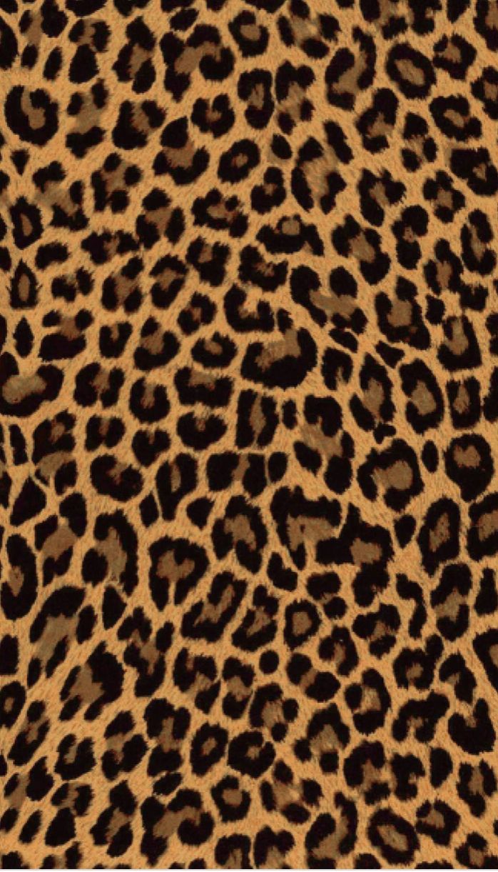 cute wallpapers cheetah print 0088