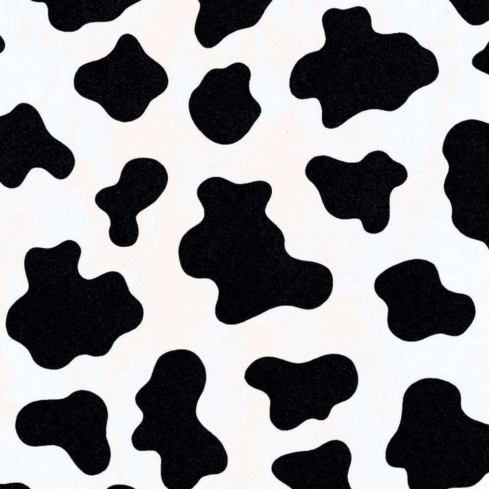 cute wallpapers cow print for phone backgrounds