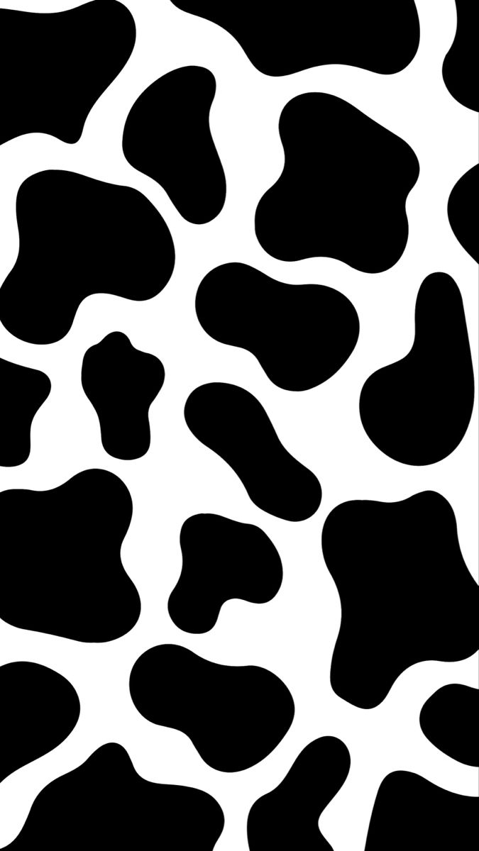 cute wallpapers cow print 0010