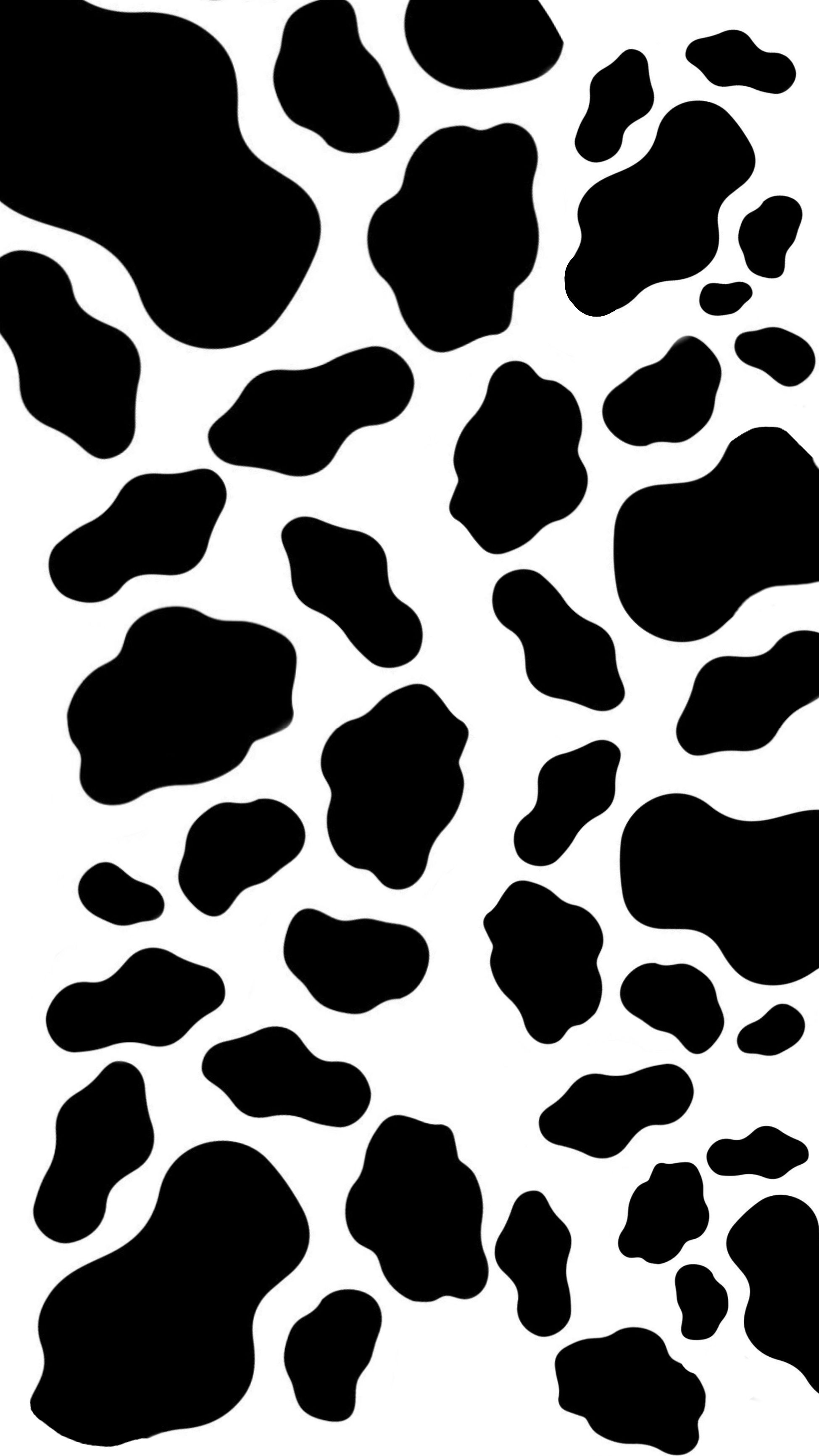 cute wallpapers cow print 0013