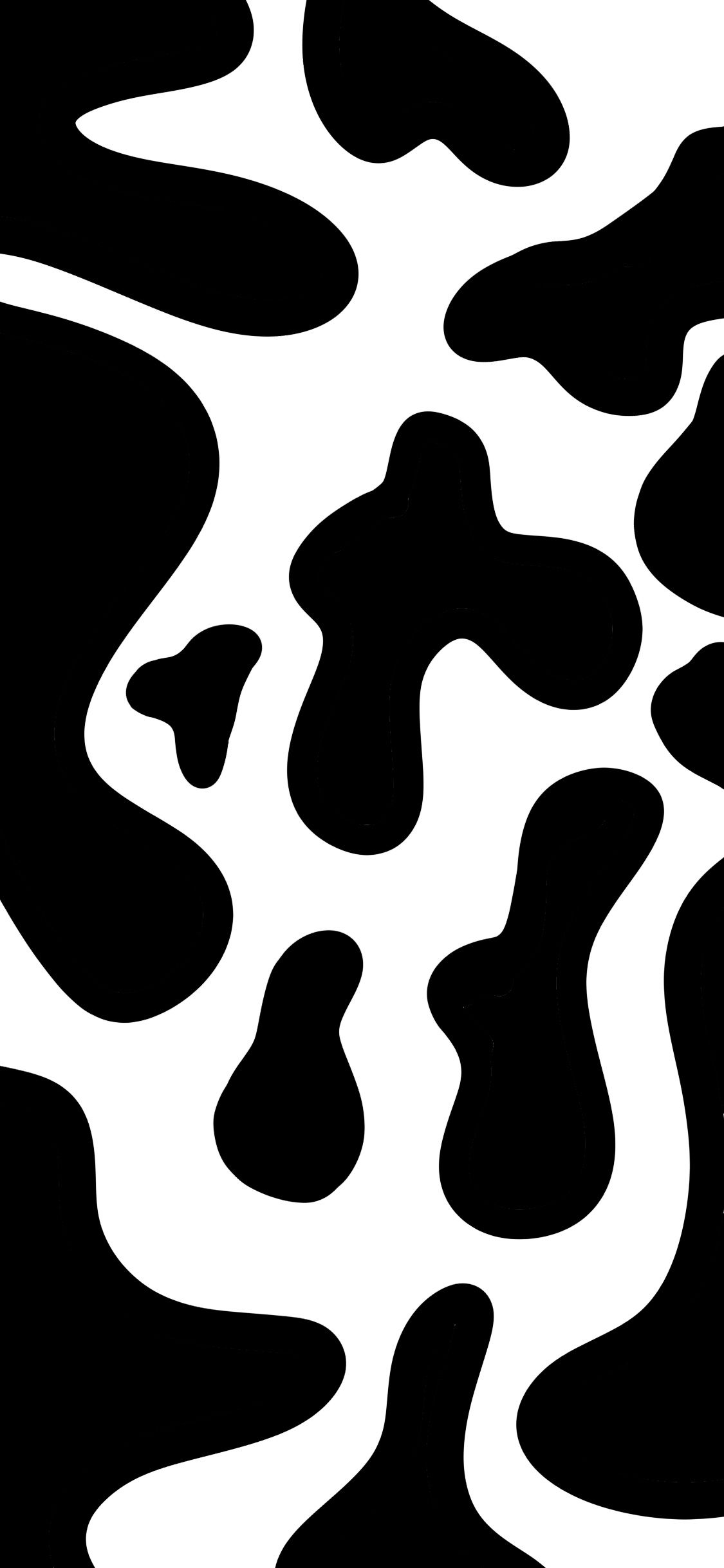 cute wallpapers cow print 0016