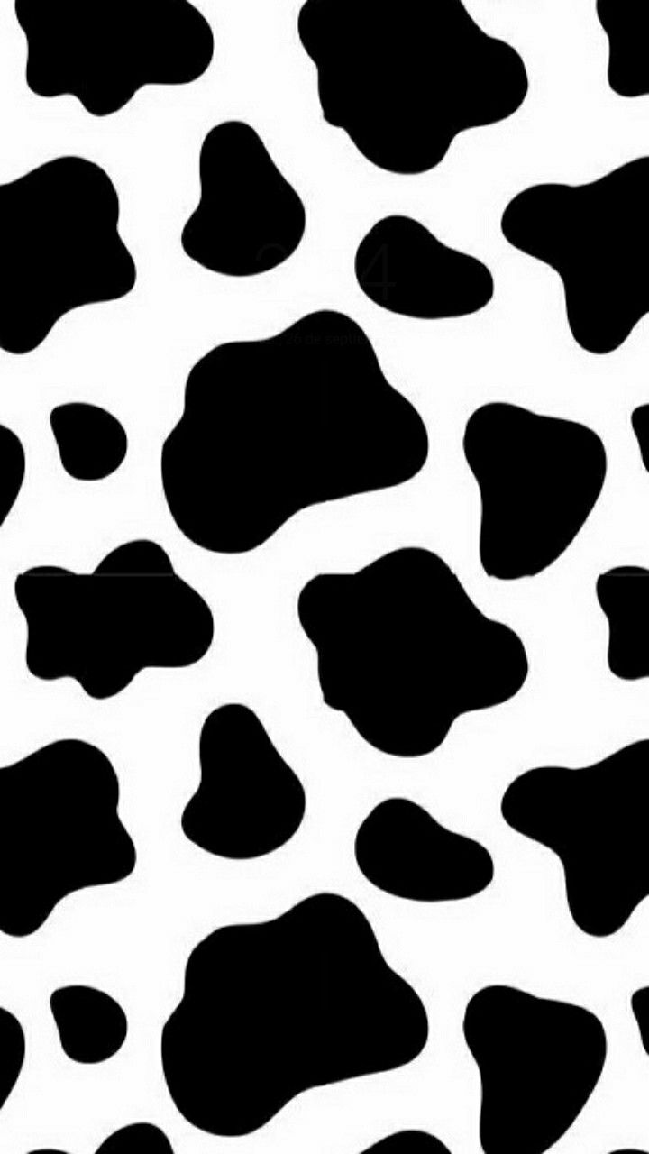 cute wallpapers cow print 0019