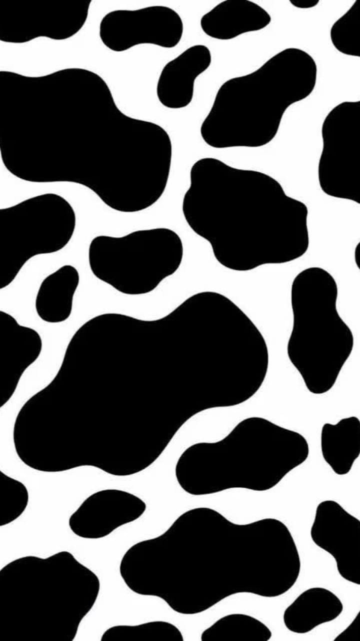 cute wallpapers cow print 0020