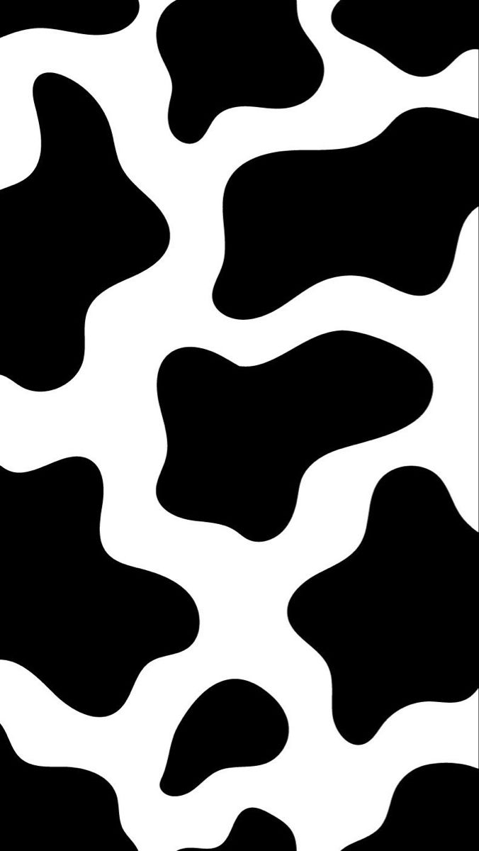 cute wallpapers cow print 0027