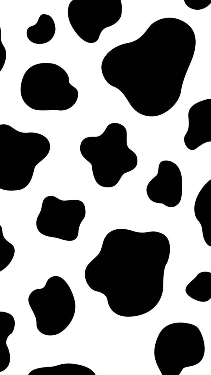 cute wallpapers cow print 0028