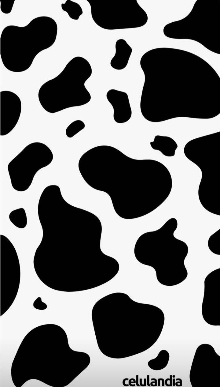 cute wallpapers cow print 0034