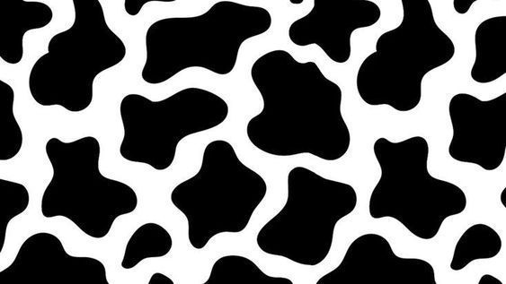 cute wallpapers cow print 0052