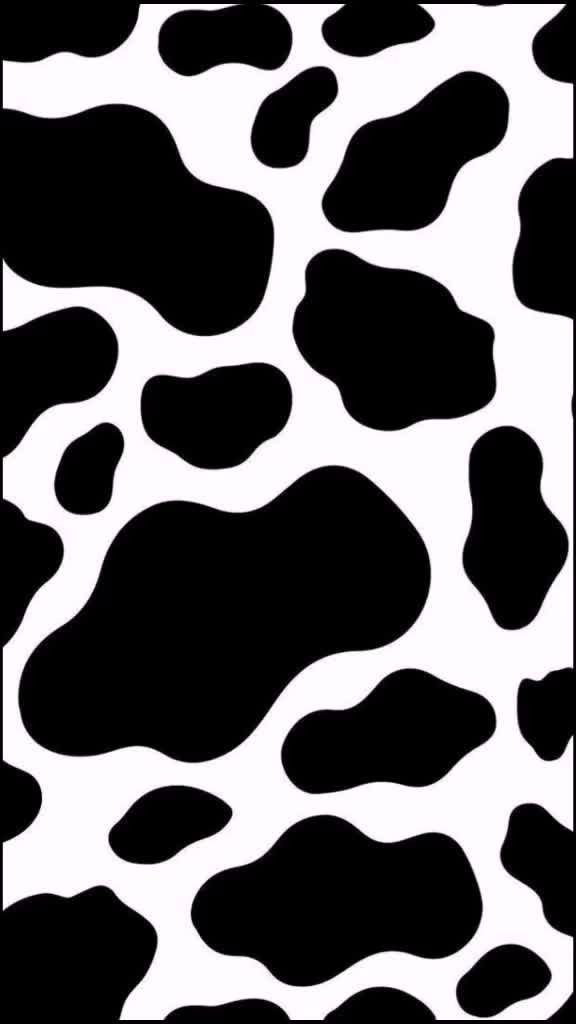 cute wallpapers cow print 0053