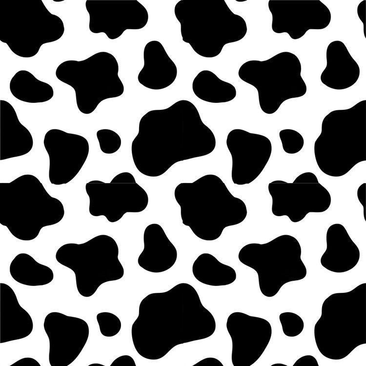 cute wallpapers cow print 0067