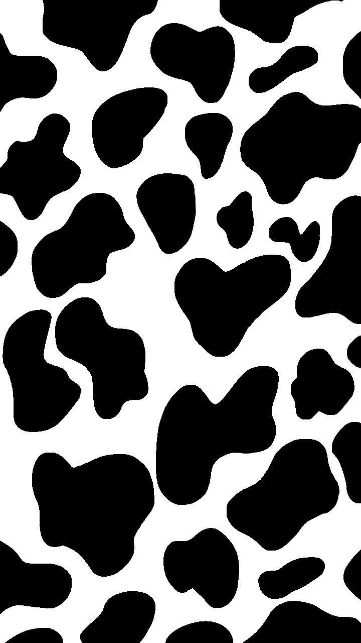 cute wallpapers cow print 0070