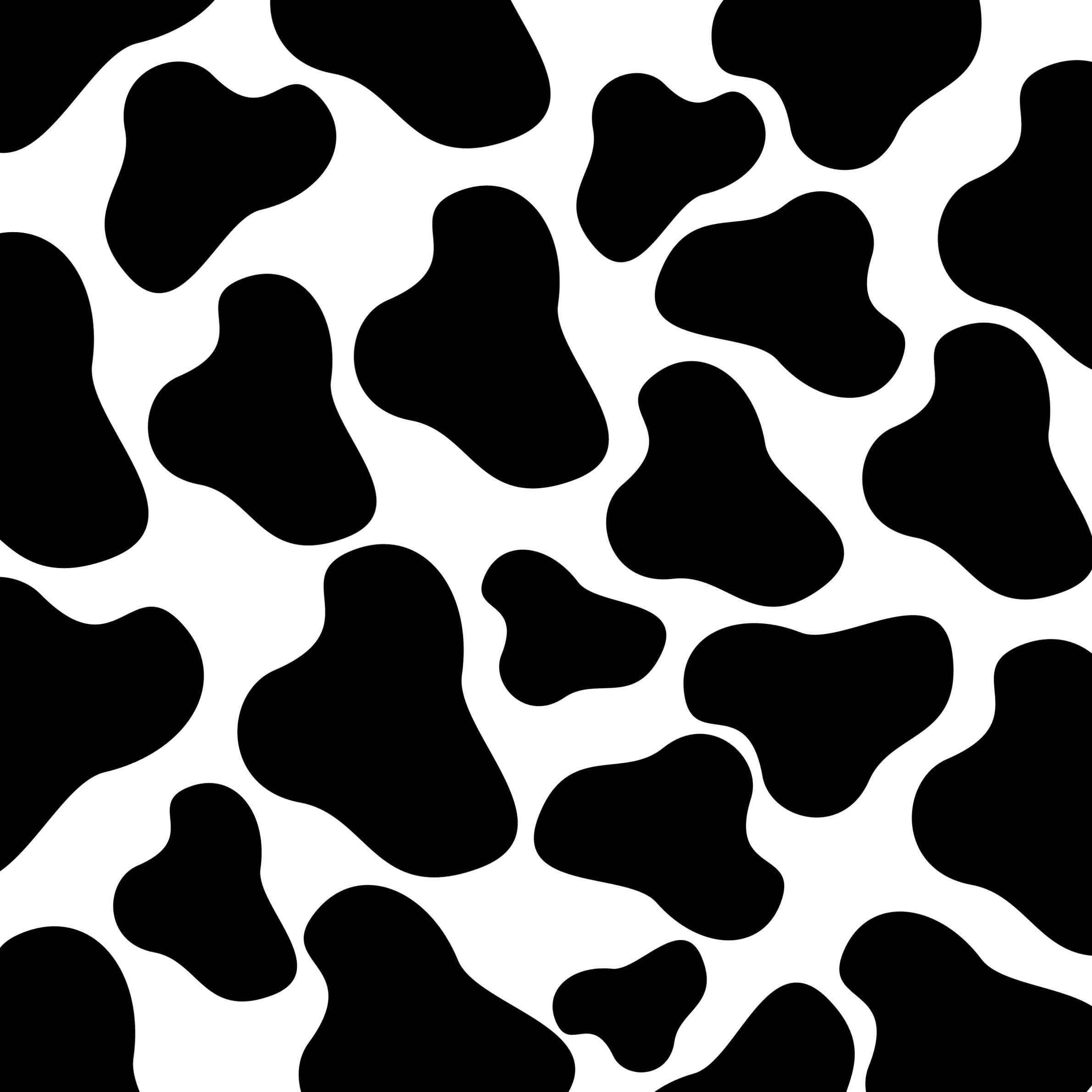 cute wallpapers cow print 0081