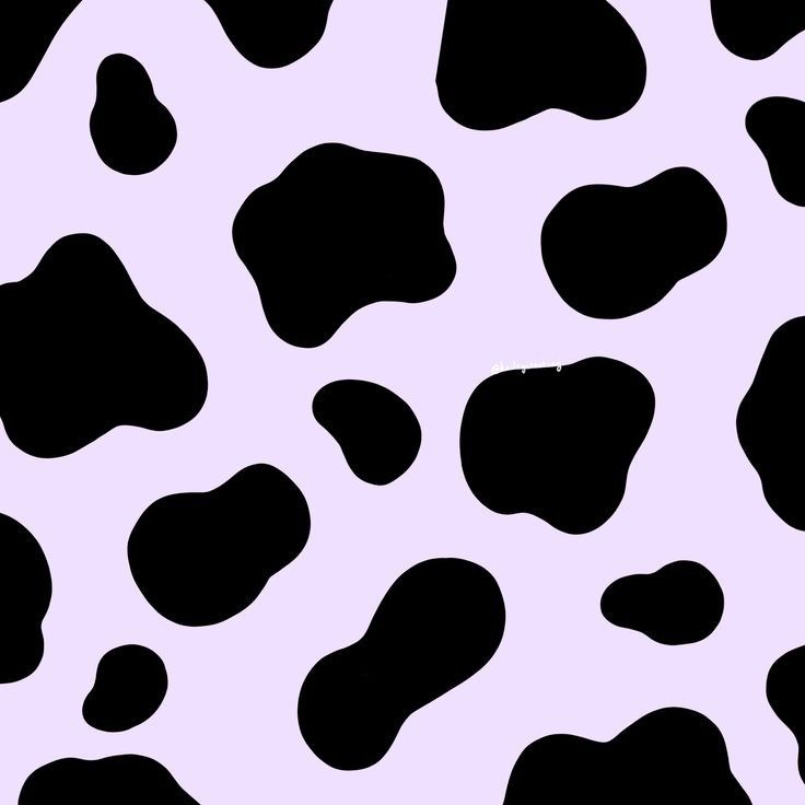 cute wallpapers cow print 0083