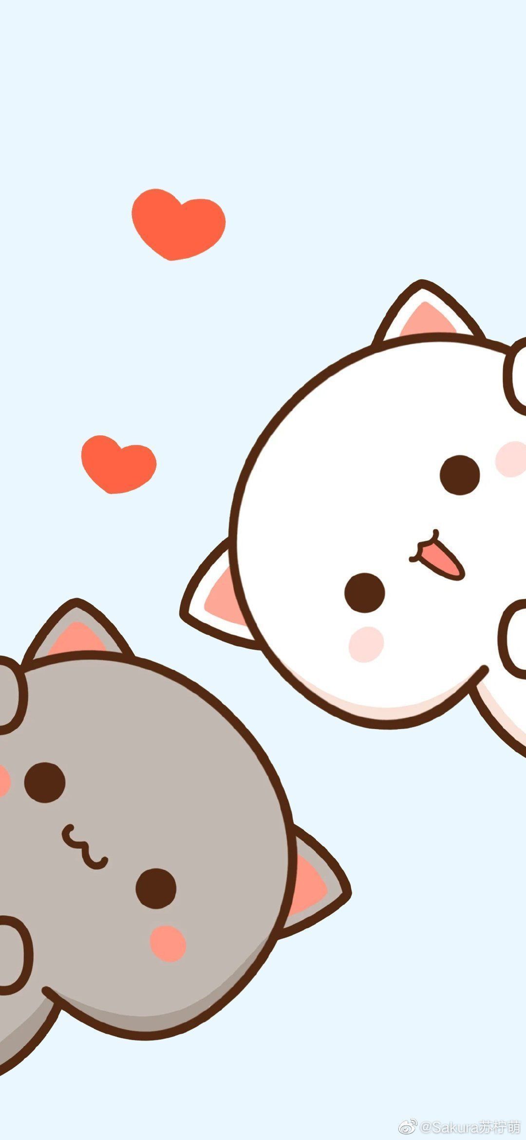 cute wallpapers featuring mochi cats