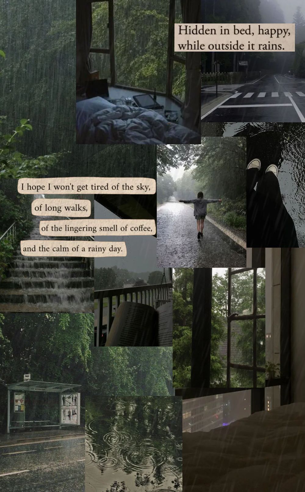 cute wallpapers featuring rainy days