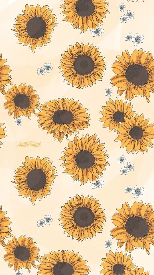 cute wallpapers featuring sunflowers