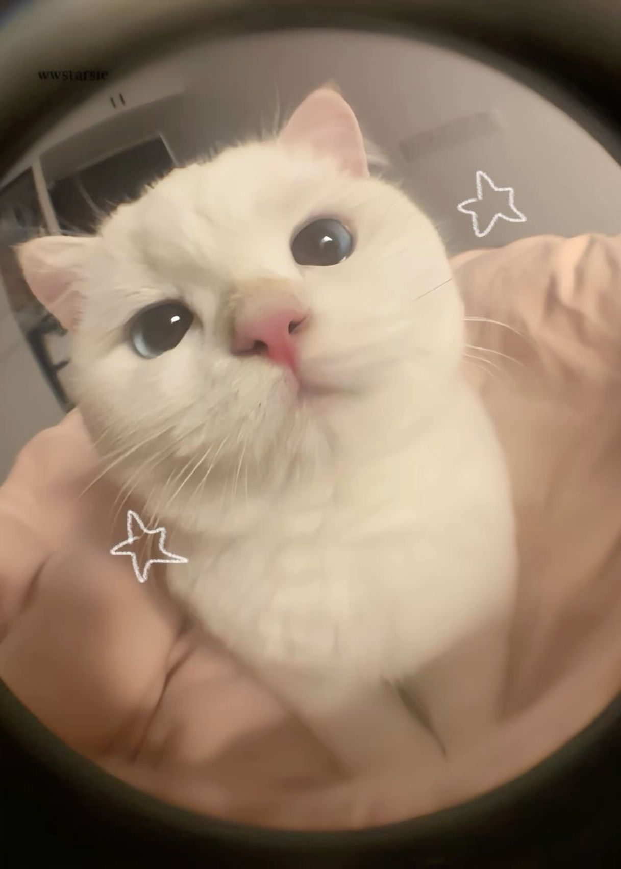 cute wallpapers for TikTok profile 0013