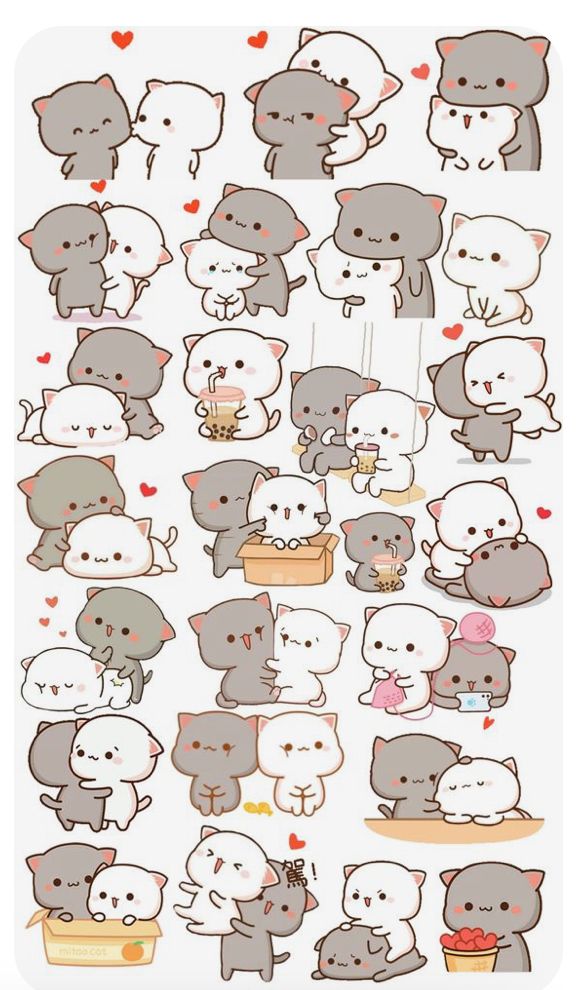 cute wallpapers Mochi Cat wallpaper 0010