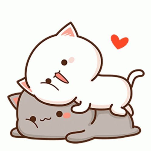 cute wallpapers Mochi Cat wallpaper 0050