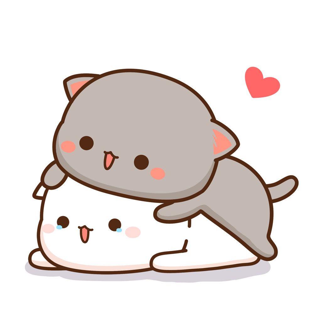 cute wallpapers Mochi Cat wallpaper 0061