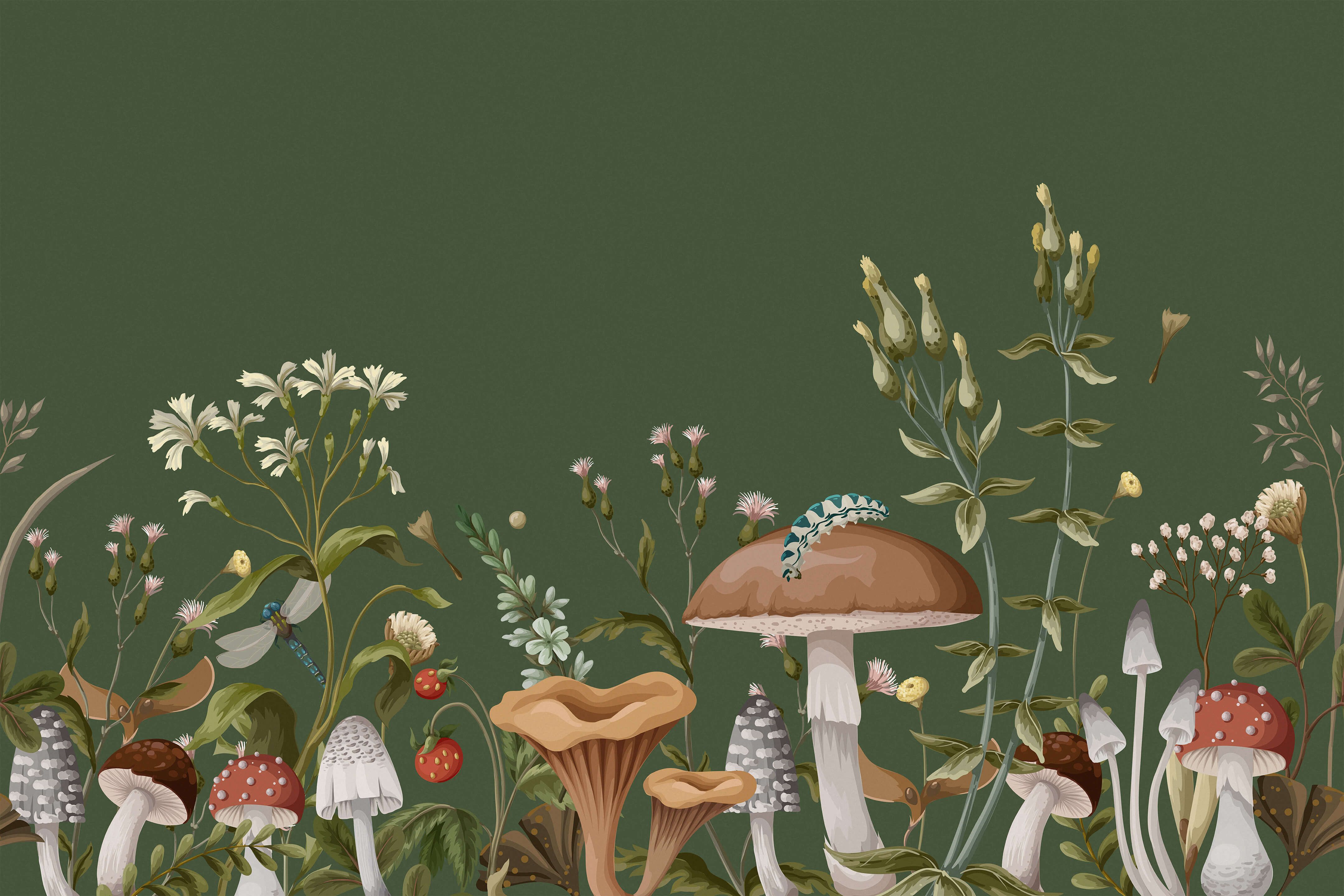 cute wallpapers mushroom 0021