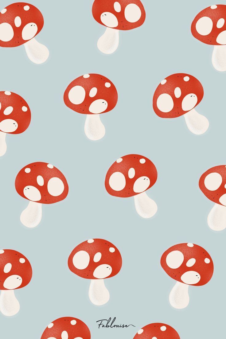 cute wallpapers mushroom 0027