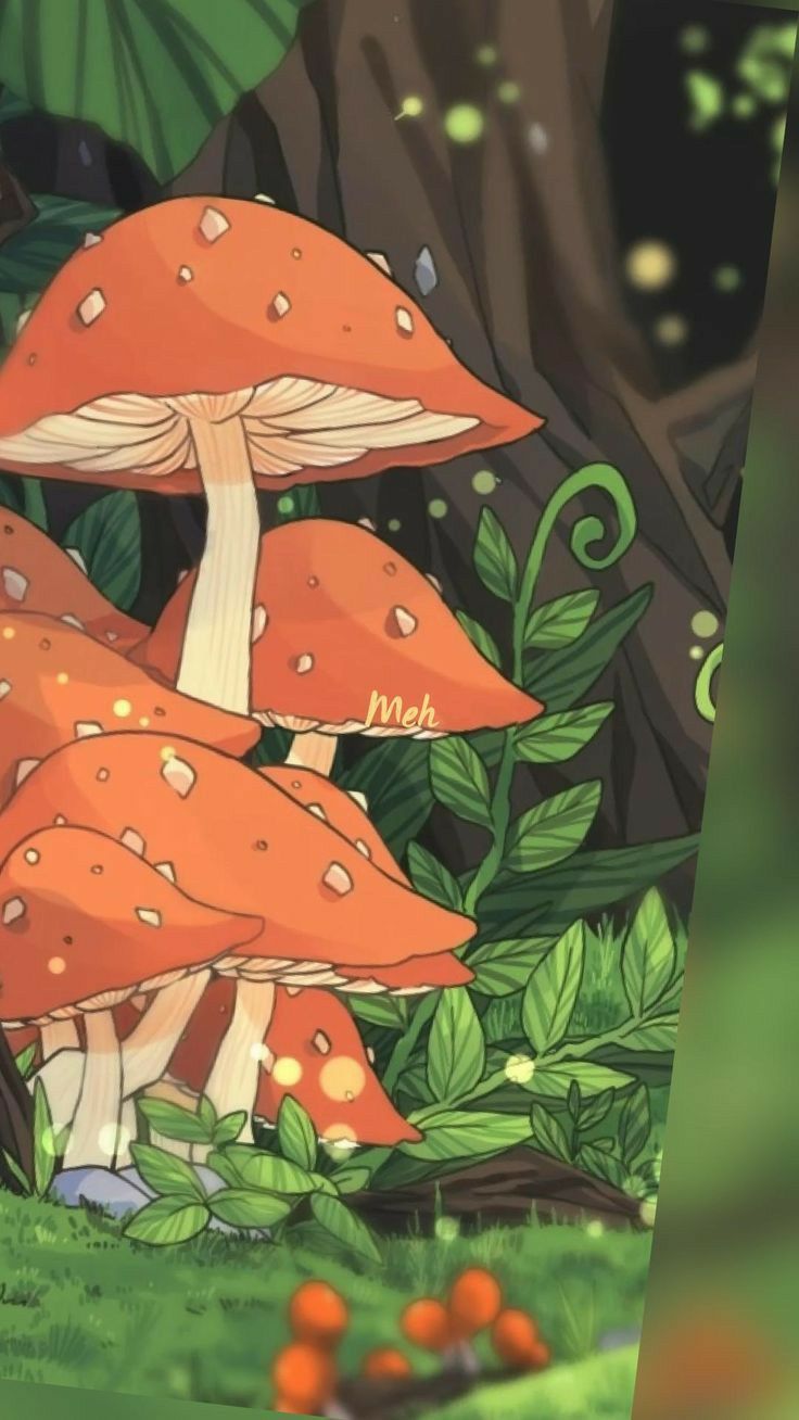 cute wallpapers mushroom 0032