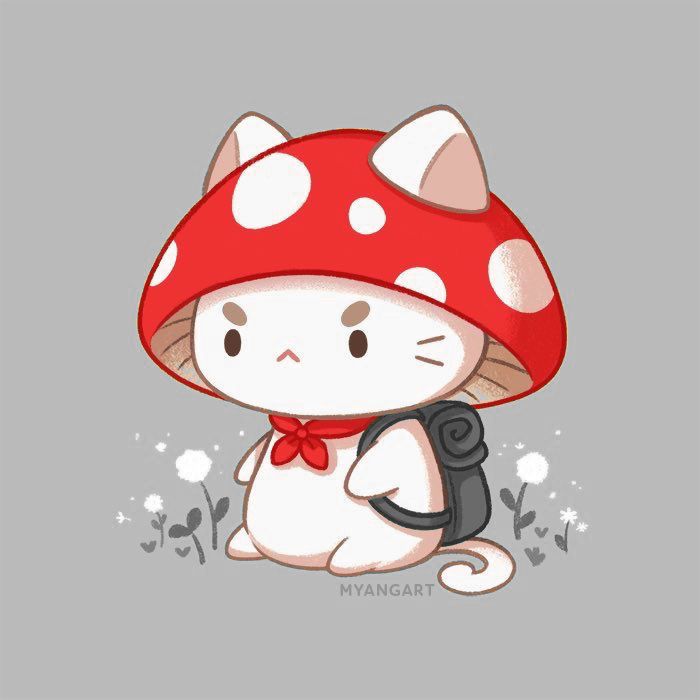 cute wallpapers mushroom 0036