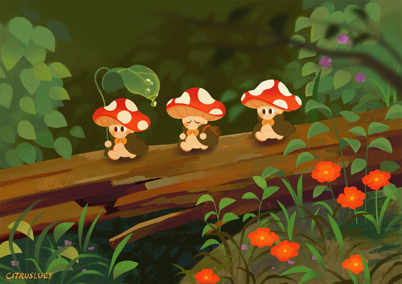 cute wallpapers mushroom 0056