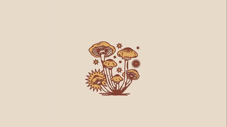 cute wallpapers mushroom 0057