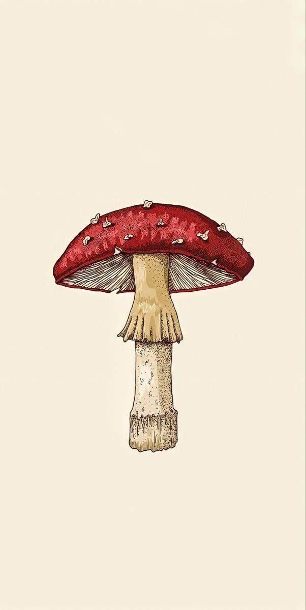 cute wallpapers mushroom 0059