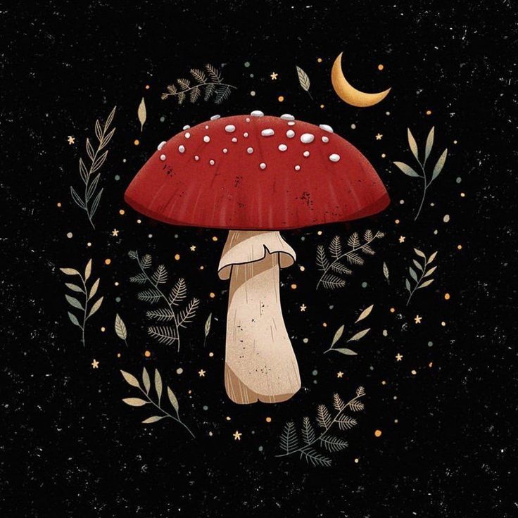 cute wallpapers mushroom 0089