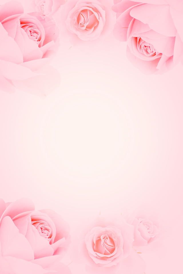 cute wallpapers roses 0077