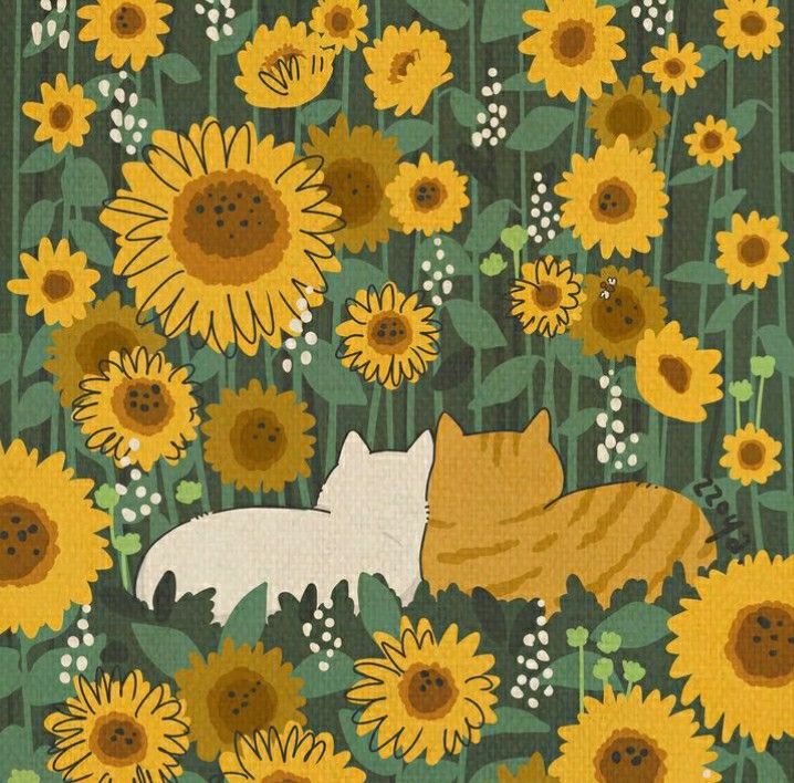 cute wallpapers sunflowers 0023