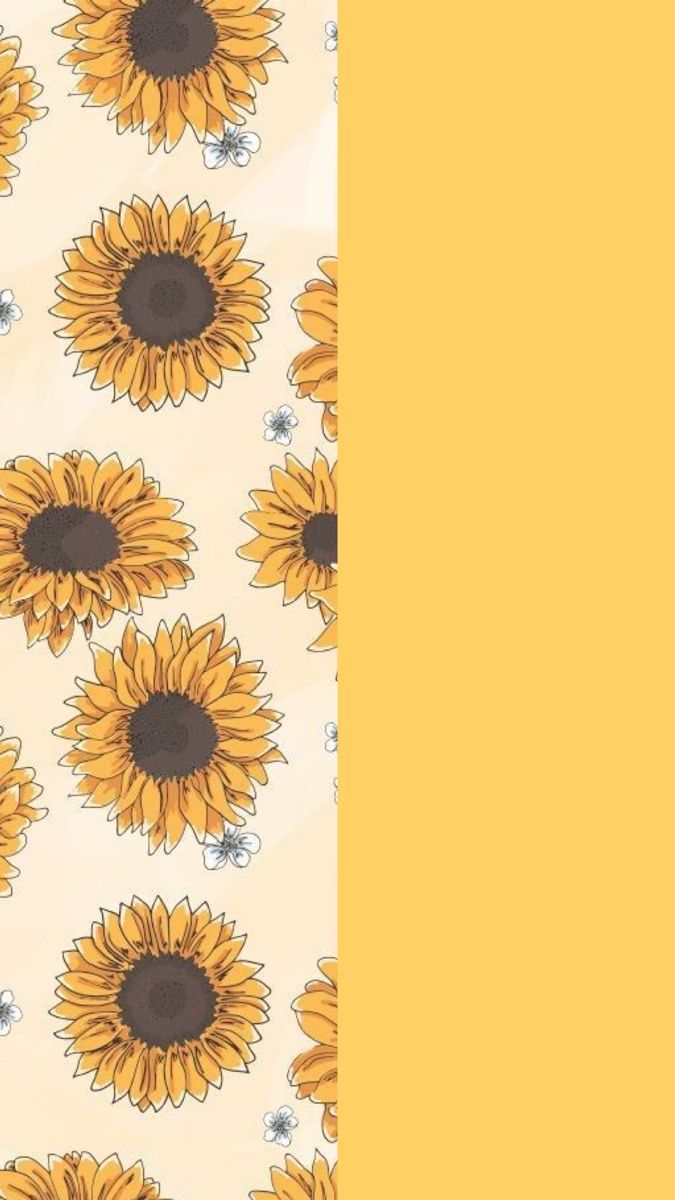 cute wallpapers sunflowers 0037