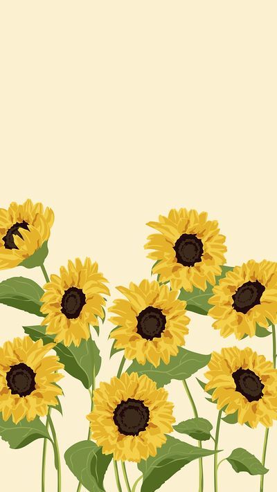 cute wallpapers sunflowers 0038