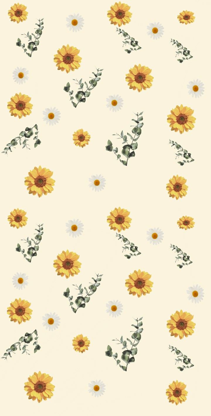 cute wallpapers sunflowers 0048