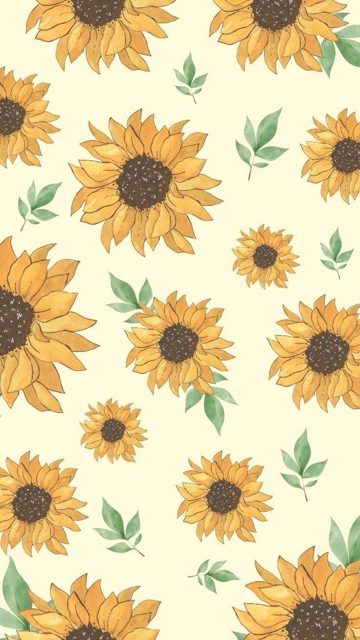 cute wallpapers sunflowers 0052