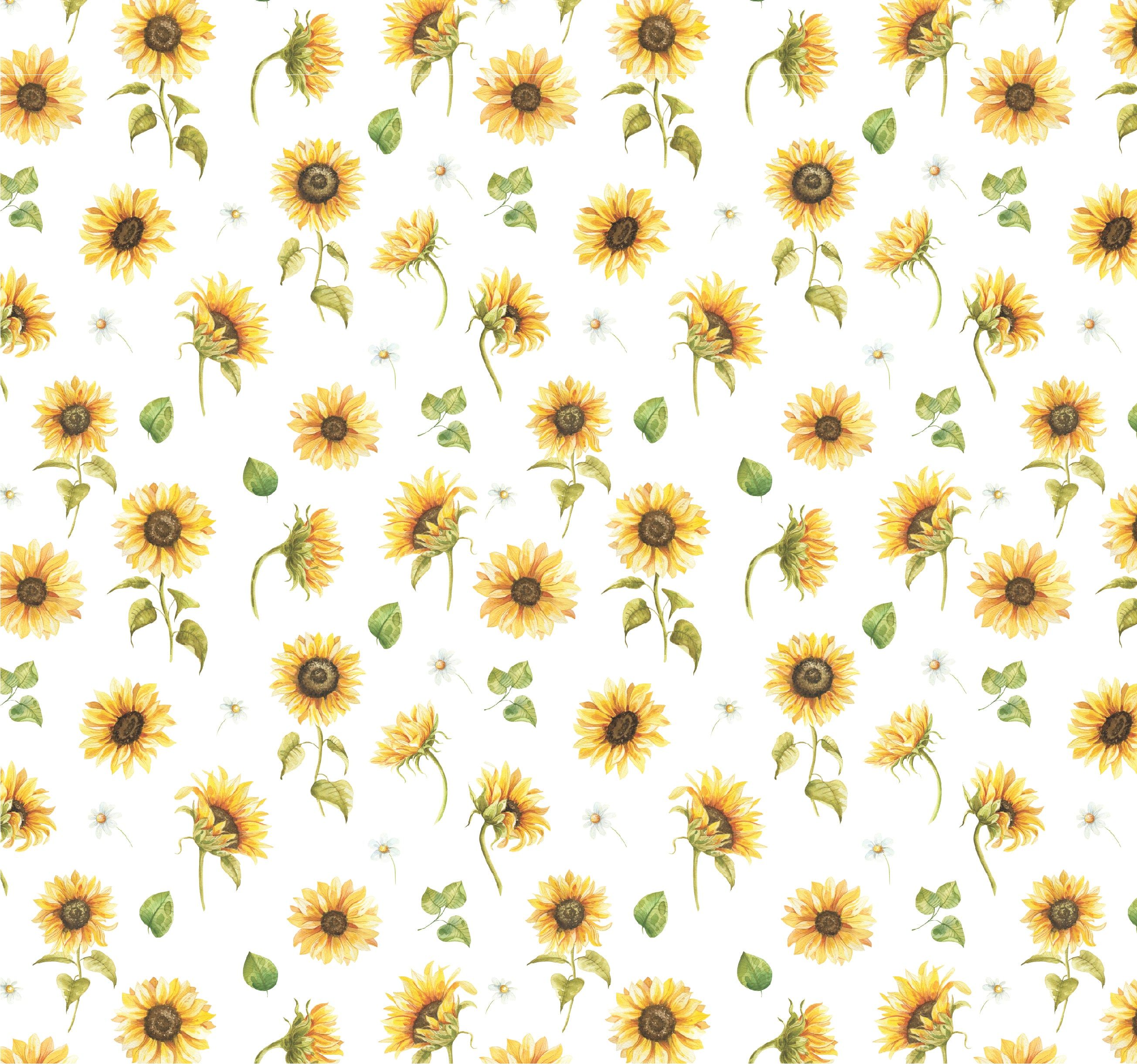 cute wallpapers sunflowers 0054