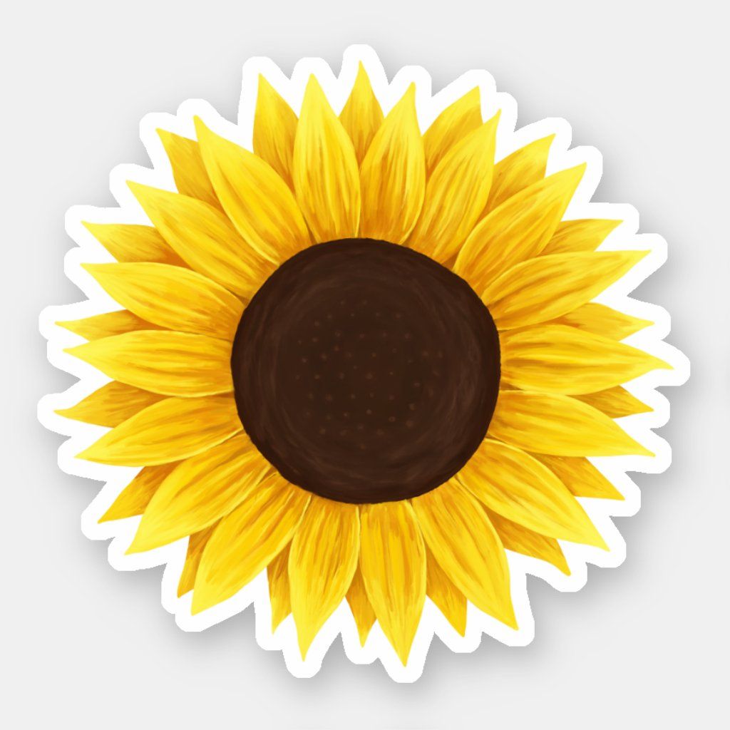 cute wallpapers sunflowers 0068