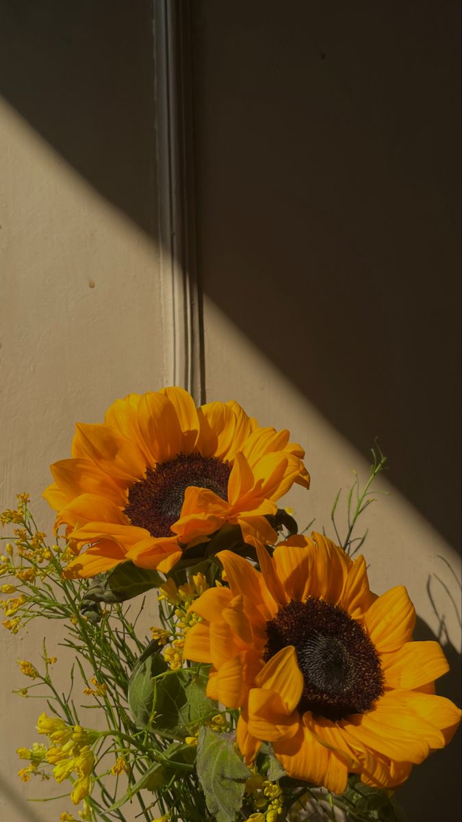 cute wallpapers sunflowers 0078