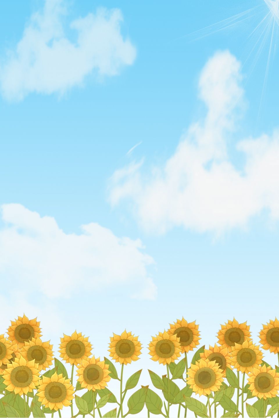 cute wallpapers sunflowers 0086