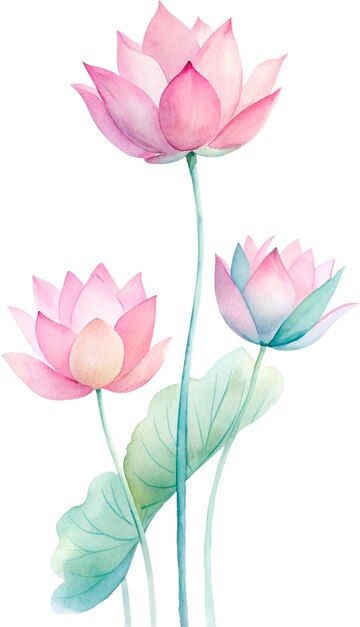 cute watercolor wallpapers 0033