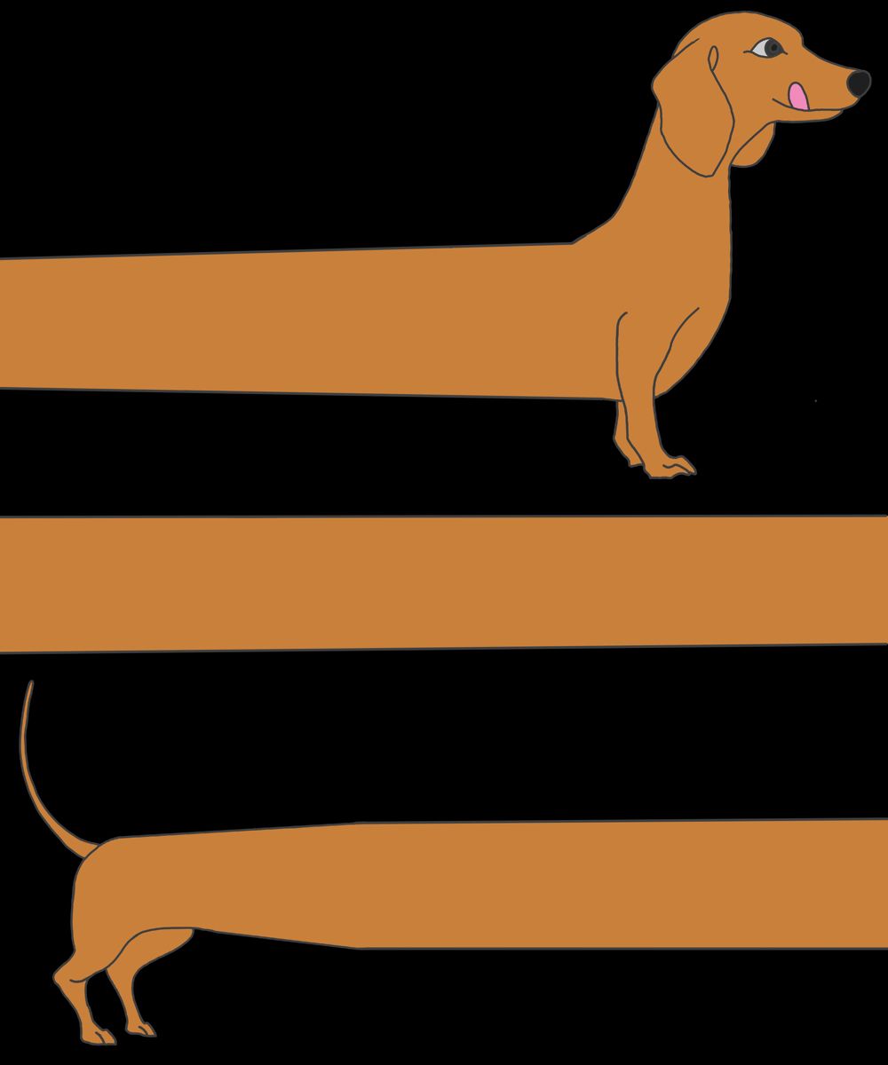 cute wiener dog wallpapers 0038