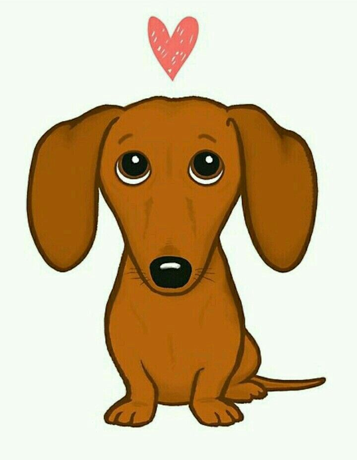 cute wiener dog wallpapers 0042